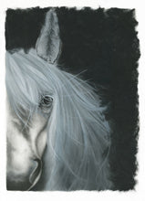 Load image into Gallery viewer, "White Horse Wild Heart" Fine Art Print