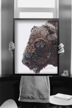 Load image into Gallery viewer, "Buffalo Chill" Fine Art Print and Canvas