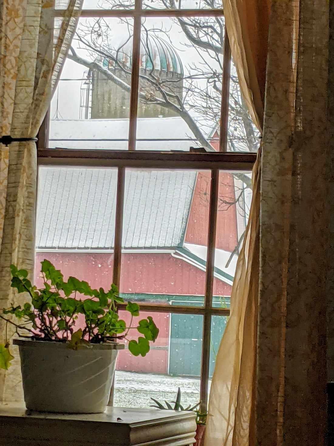 The First Snow