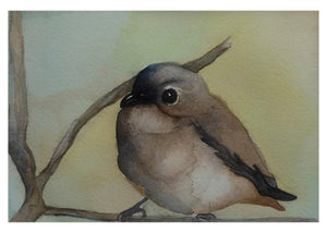 Bird Song Note Cards 3 Different Designs