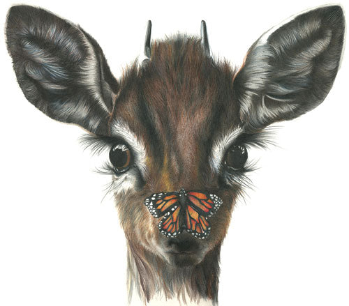 "Butterfly Kisses" Fine Art Print