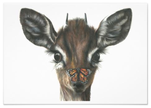 Butterfly Kisses Note Cards