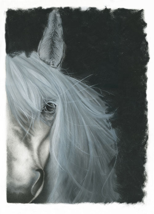 "White Horse Wild Heart" Fine Art Print