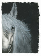 Cargar imagen en el visor de la galería, &quot;White Horse Wild Heart&quot; Fine Art Print
