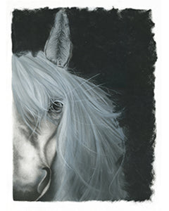 White Horse, Wild Heart Note Cards