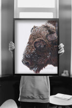 Load image into Gallery viewer, &quot;Buffalo Chill&quot; Fine Art Print and Canvas
